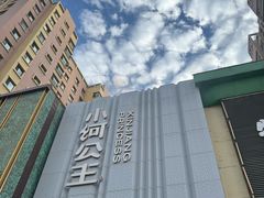 -小河公主秘制烤羊腿(小绿谷店)