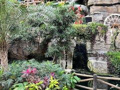 -南宫五洲植物乐园