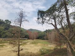 -广州市白云山风景名胜区