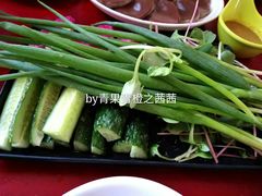 -老村长农家院