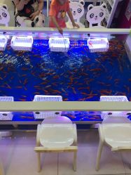 -孩子王童乐园(鹏瑞利青羊广场店)