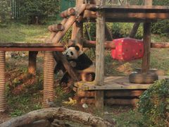 -大连森林动物园