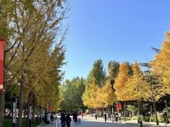 -中国政法大学(昌平校区)