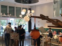 -飞行喵MR PILOT|猫舍·猫咖(静安大融城店)
