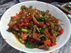 -壹盏灯(惠农店)
