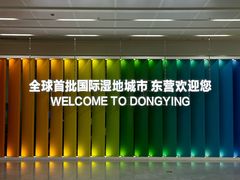 -东营胜利机场