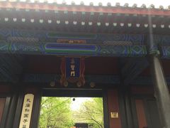 -北京国子监胡同