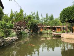 -洪湖家庭农场·团建·露营·会议