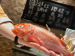 -炉匠炉端烧·酒(国金中心商场店)