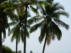 -白云中餐厅·粤菜·亚龙湾喜来登度假酒店