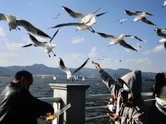 -滇池海埂公园
