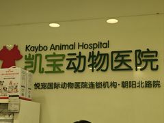 -悦宠凯宝动物医院·牙科·皮肤科(朝阳北路店)