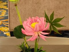 -福建鲤鱼洲酒店