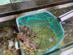 -钱大妈海鲜饭店(保利林语店)