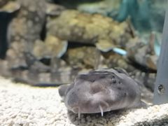 -广州海洋馆