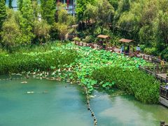 -茅山东方盐湖城景区