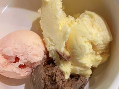 新西兰冰淇淋-比格比萨自助(花园路店)