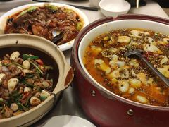 轻油水煮鱼-金鼎轩(方庄天坛店)