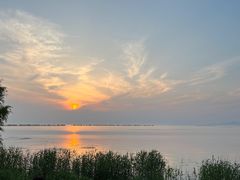-西京湾花海