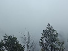 -娄山关景区