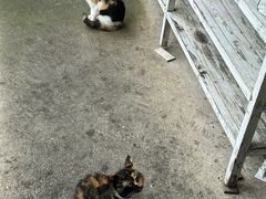 -老鲍农家乐