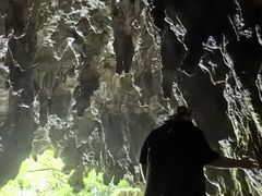 -怀托摩萤火虫洞