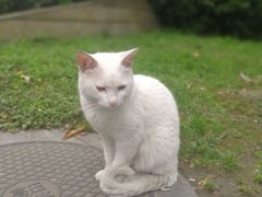 -西南民族大学南区(双流校区)