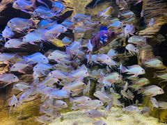 -成都浩海立方海洋公园