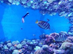 -成都浩海立方海洋公园