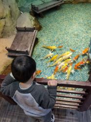 -酷嗒动物文化乐园(cutezoo西溪乐天城店)