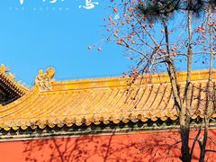 -故宫博物院(故宫)