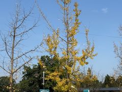 -仙海旅游度假区