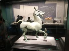 -广西壮族自治区博物馆