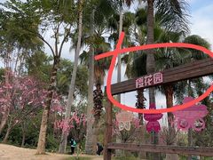 -深圳野生动物园