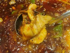 -肖肖酸萝卜鱼火锅(总店)