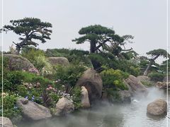 -罗红摄影艺术馆