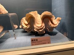 -常州博物馆