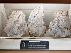 -上海邮政博物馆
