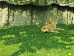 -北京野生动物园