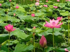 -苏州河梦清园环保主题公园