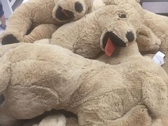 -宜家家居(哈尔滨商场店)