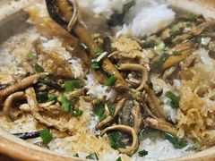 -优之名鹅城