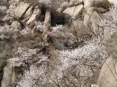 -北京凤凰岭