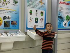 -石家庄市动物园