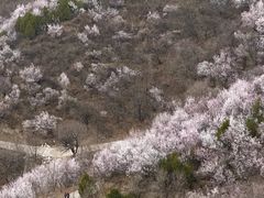 -北京凤凰岭