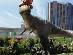 -陕西自然博物馆