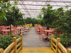 -南宫五洲植物乐园