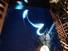 -桂满陇·海市蜃楼·黑金(国金店)