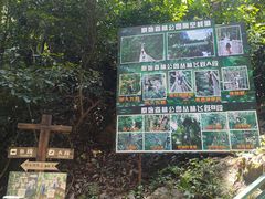 -西双版纳原始森林公园