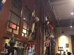 大堂-百好乐宠物友好餐厅(朝外大街店)